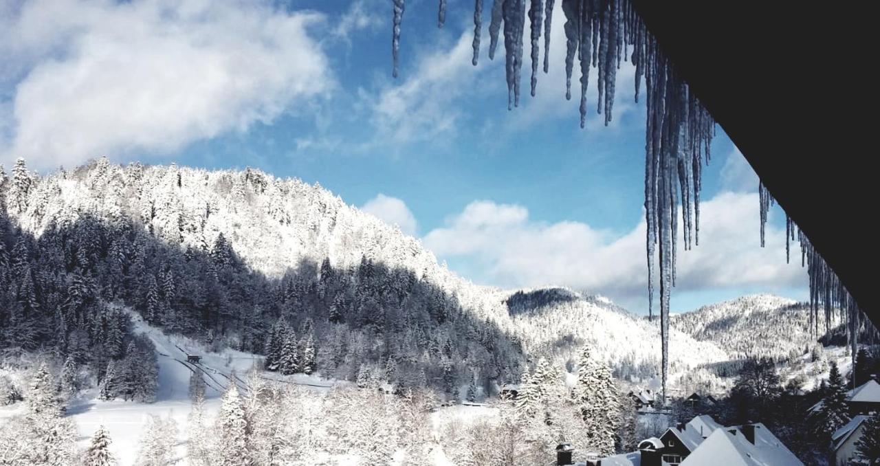 Hotel Grossbach Menzenschwand-Hinterdorf Buitenkant foto